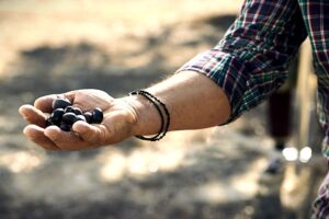 Authentic Greek olives representing 30 years of Mediterranean expertise