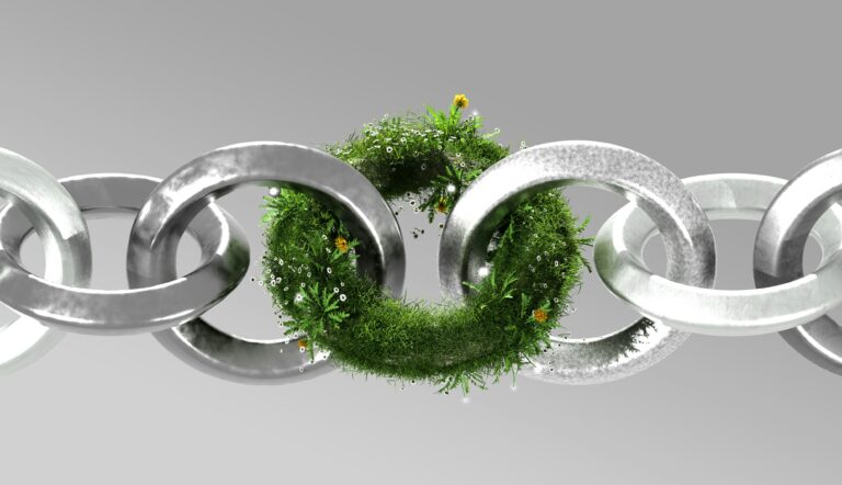 Silver links surrounding a green sphere, representing medbest’s EcoVadis Silver Medal and sustainability progress in 2026